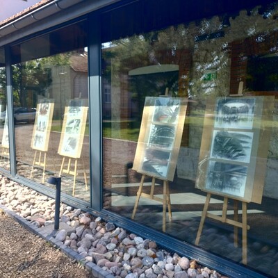 galeria