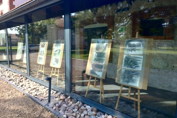 galeria